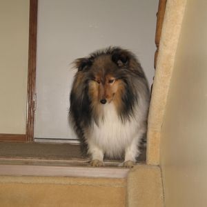 Meet your Posher, Louise